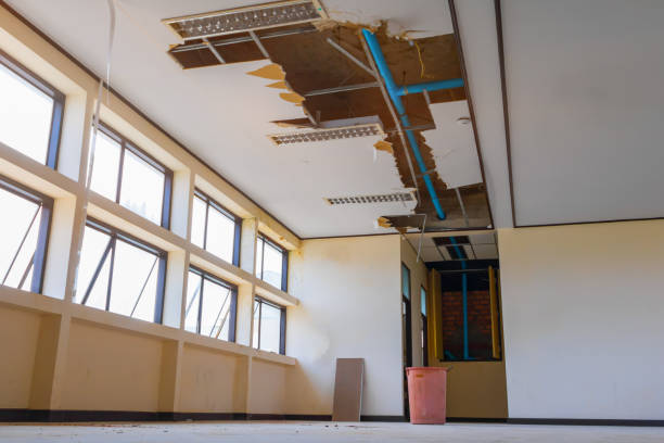 Best Mold removal after water damage  in Conroe, TX