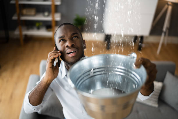 Best Sewage cleanup and water damage restoration  in Conroe, TX