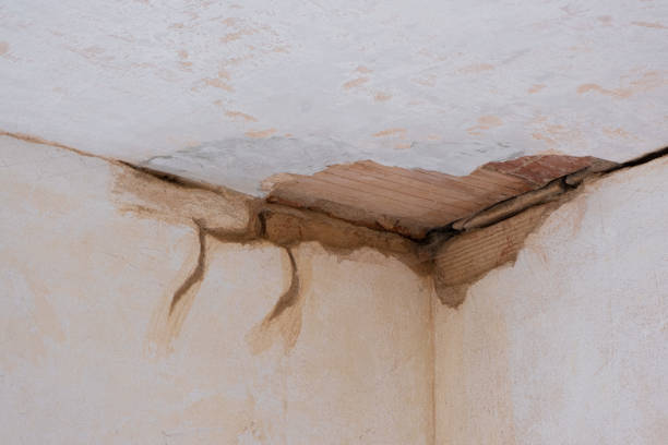 24/7 water damage repair in Conroe, TX