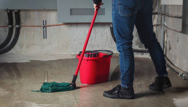 Best Water damage restoration cost  in Conroe, TX