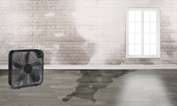 Best Flooded house restoration  in Conroe, TX