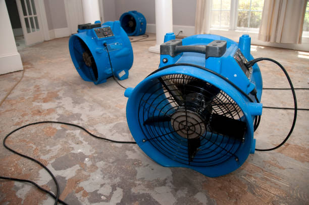 Best Local water damage restoration  in Conroe, TX