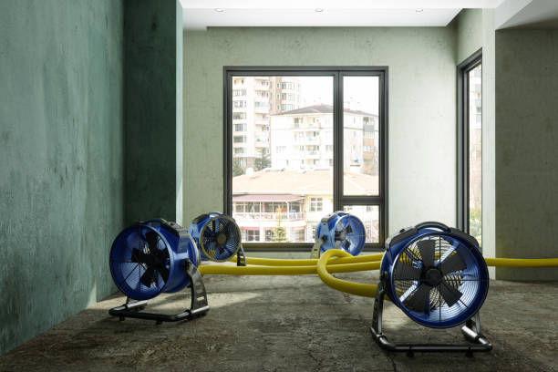 Best Water damage restoration near me  in Conroe, TX
